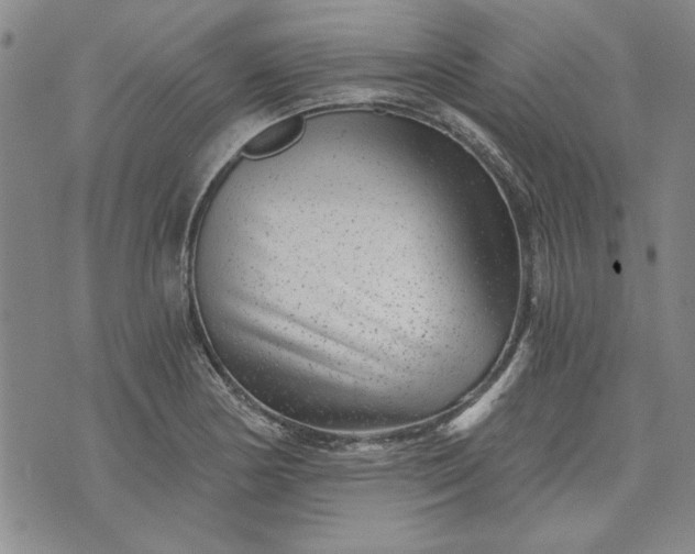 X0000072961178200608041145