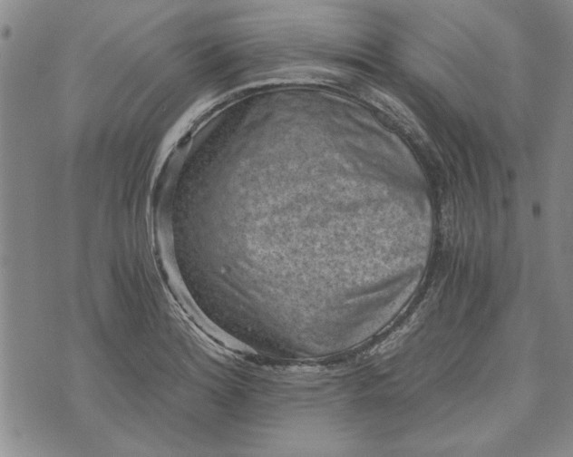 X0000072961180200608041145