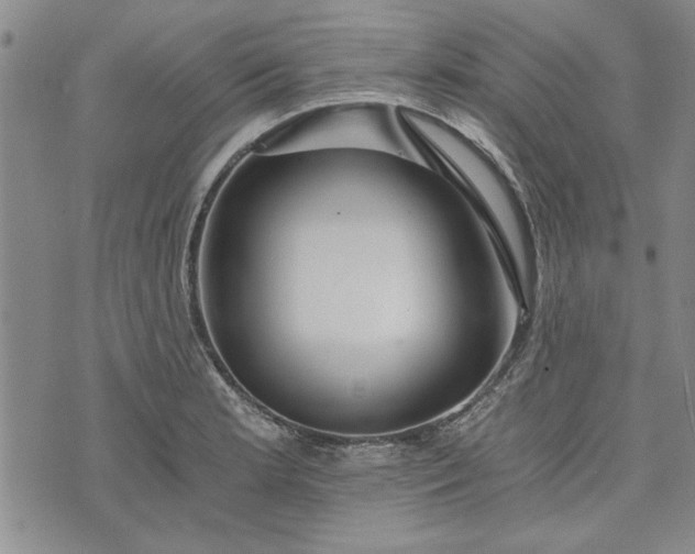 X0000072961181200608041145