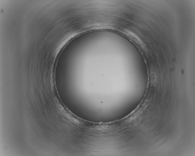 X0000072961182200608041145