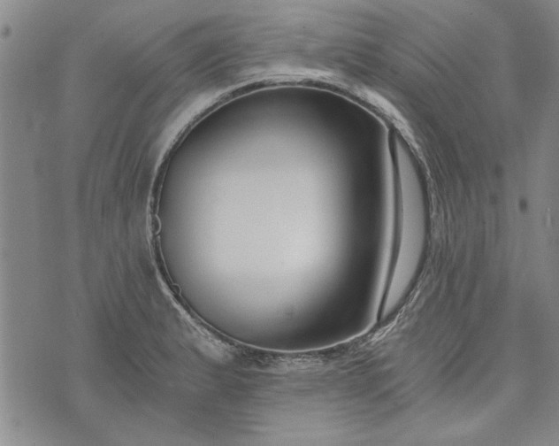 X0000072961183200608041145