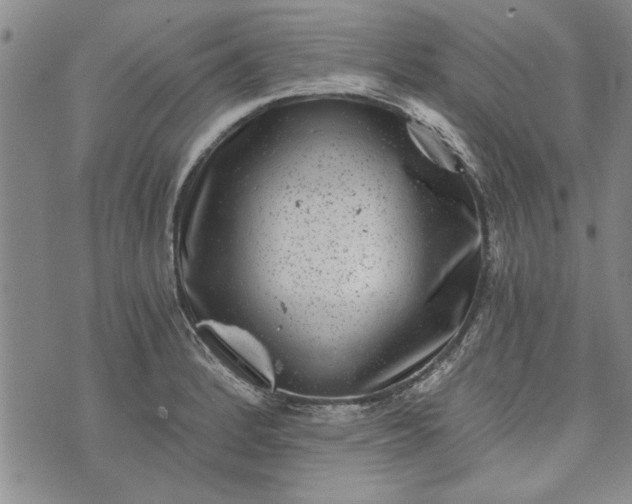 X0000072961184200608041145