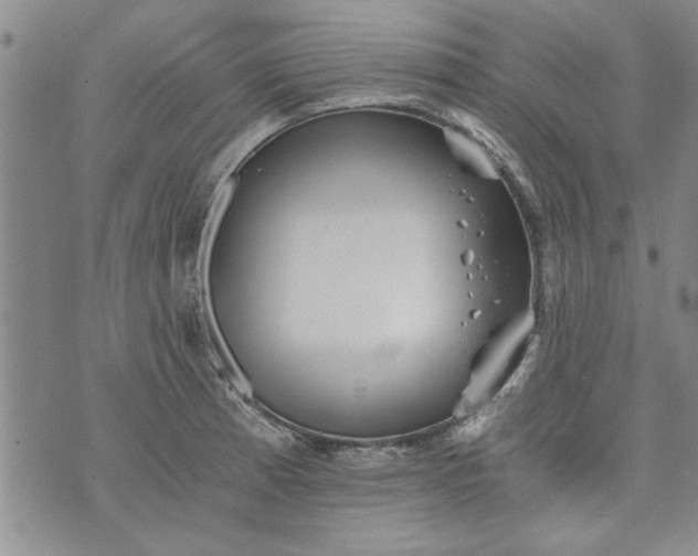 X0000072961185200608041145