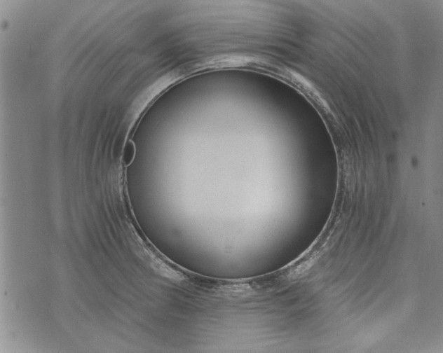 X0000072961186200608041145