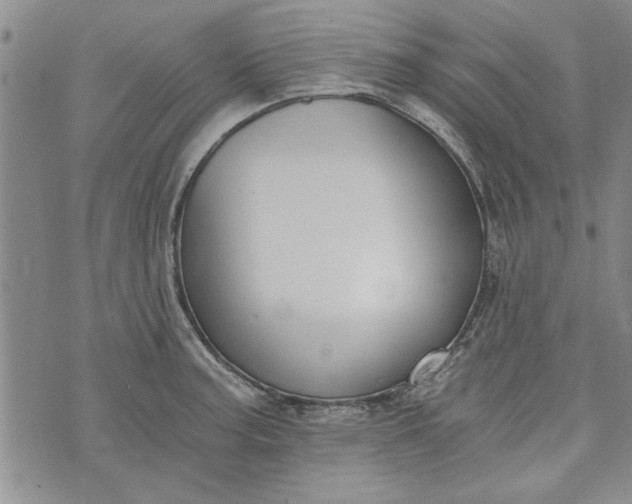 X0000072961187200608041145