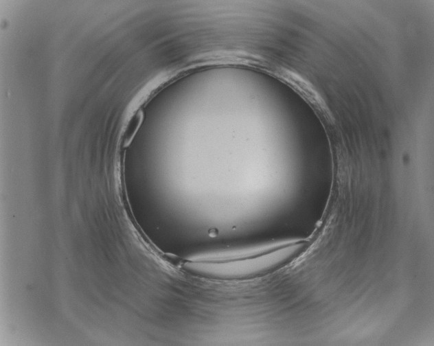 X0000072961188200608041145