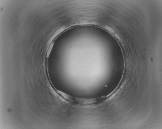 X0000072961189200608041145