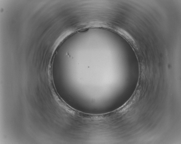 X0000072961190200608041145