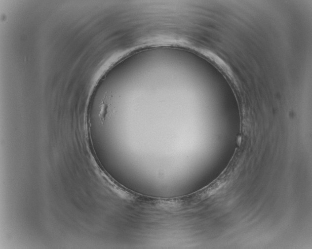 X0000072961191200608041145