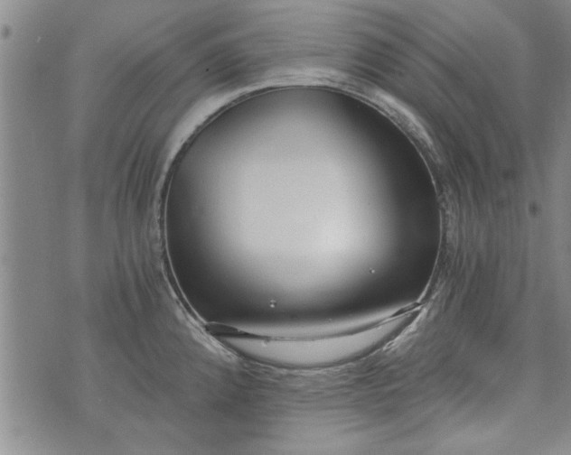 X0000072961192200608041145