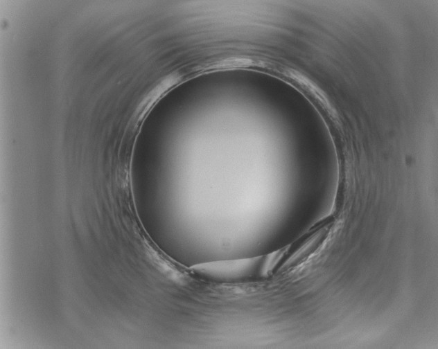 X0000072961193200608041145