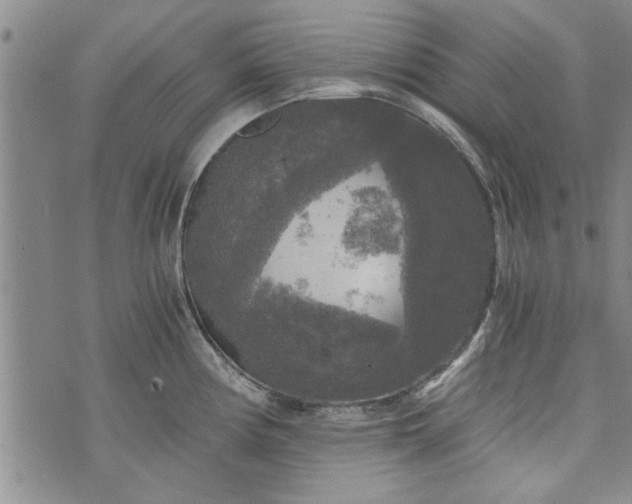 X0000072961194200608041145