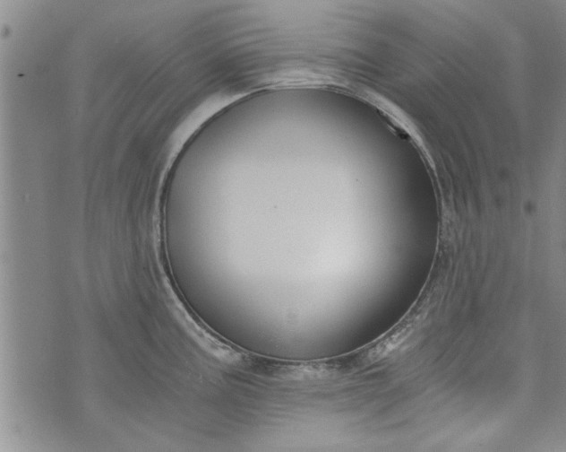 X0000072961195200608041145