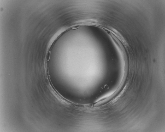 X0000072961196200608041145