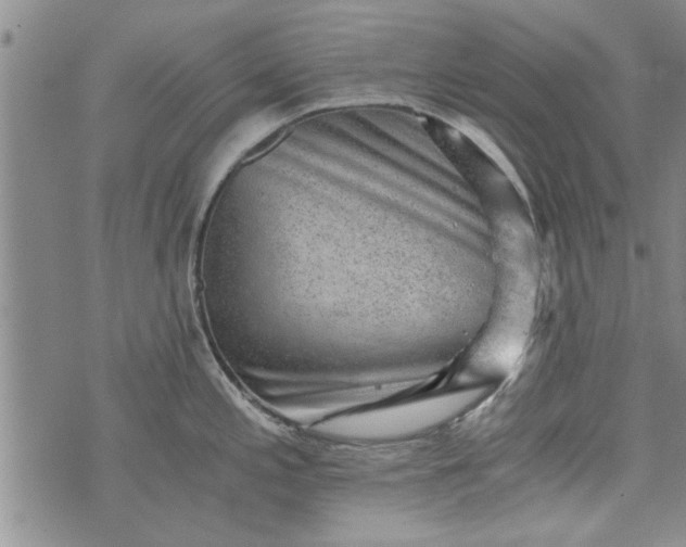 X0000072961197200608041145