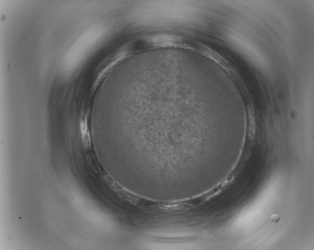 X0000072961198200608041145