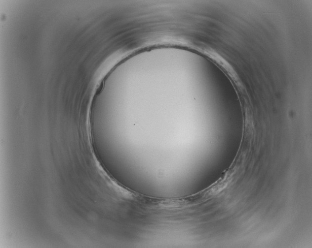 X0000072961199200608041145