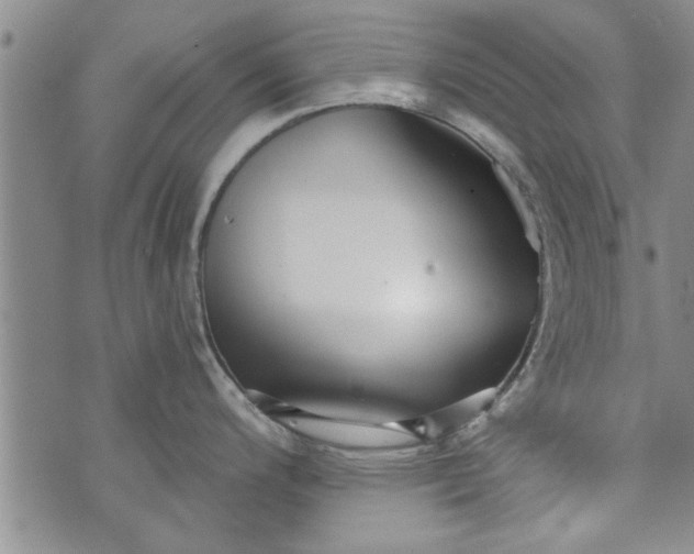 X0000072961200200608041145