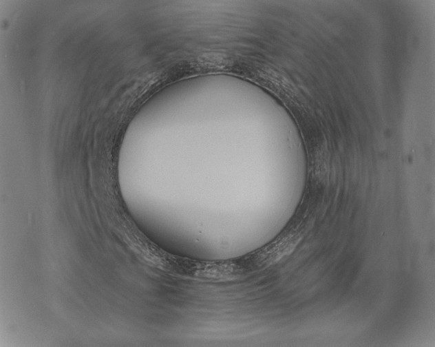 X0000072961201200608041144