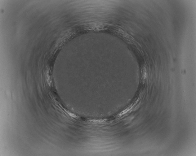 X0000072961202200608041144