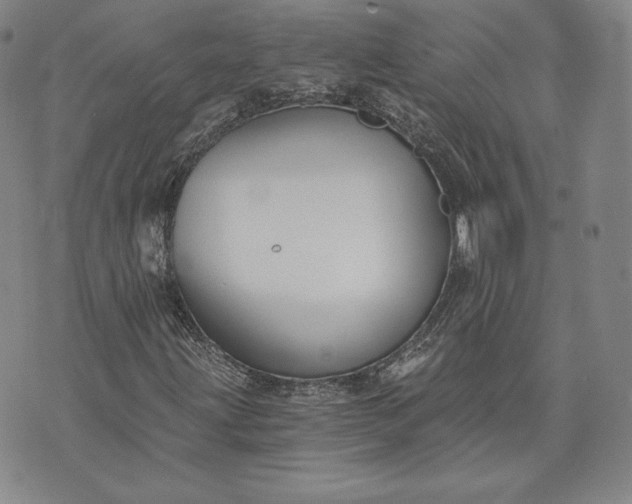 X0000072961203200608041144