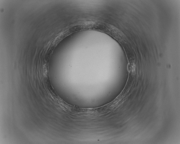 X0000072961204200608041144