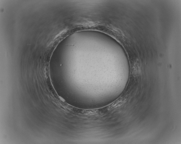 X0000072961205200608041144