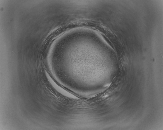 X0000072961206200608041144