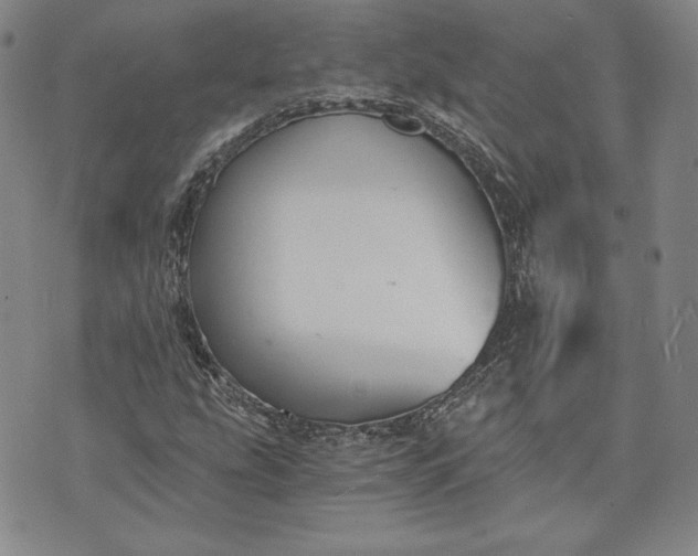 X0000072961207200608041144