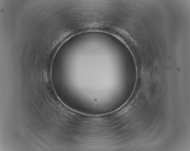 X0000072961209200608041144