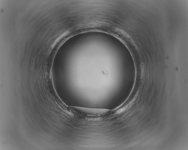 X0000072961210200608041144