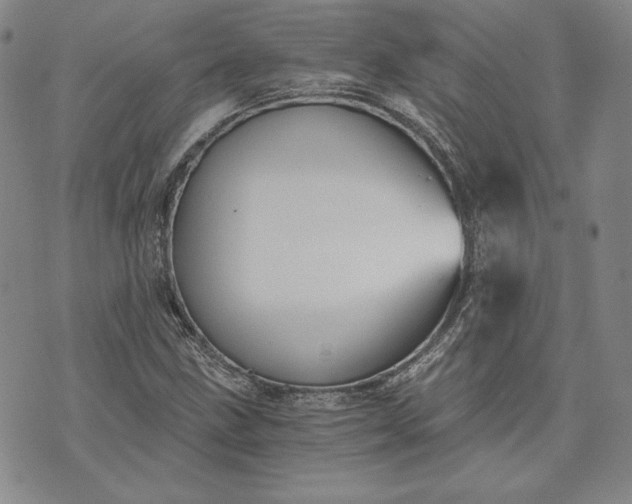 X0000072961211200608041144