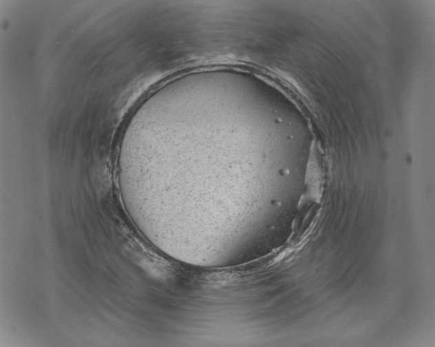 X0000072961212200608041144