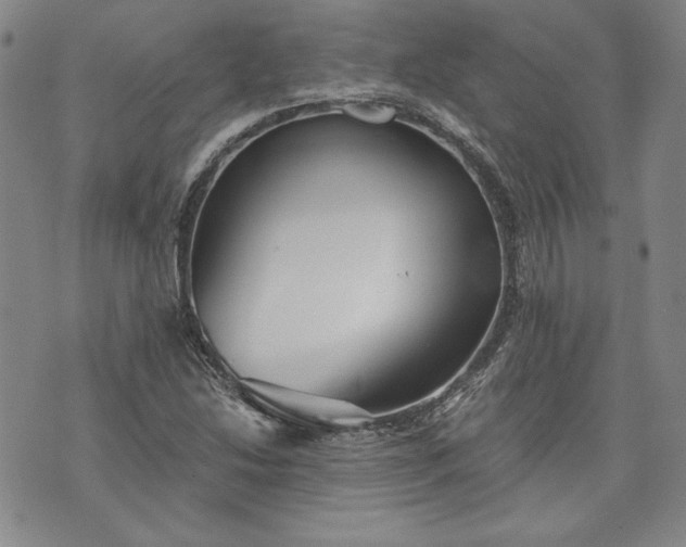 X0000072961214200608041144