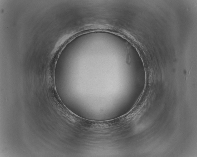 X0000072961215200608041144