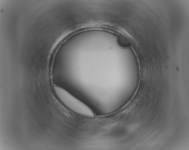 X0000072961216200608041144