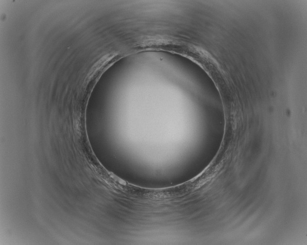 X0000072961217200608041144