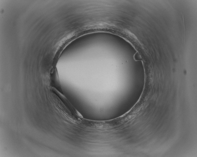 X0000072961218200608041144