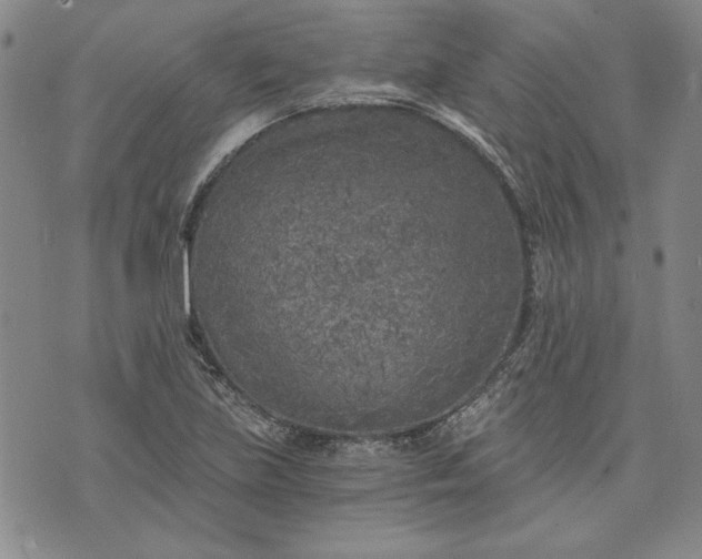 X0000072961219200608041144