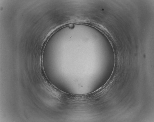 X0000072961220200608041144