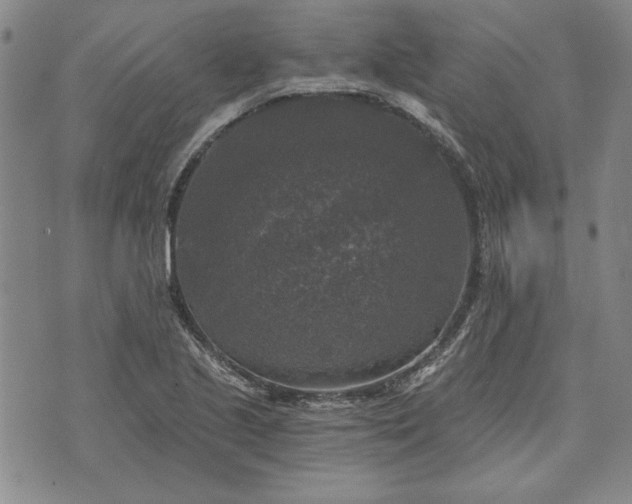 X0000072961221200608041144