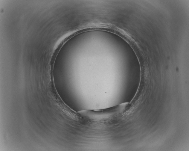 X0000072961222200608041144