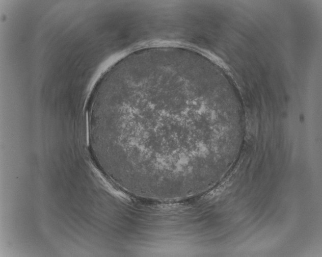 X0000072961223200608041144