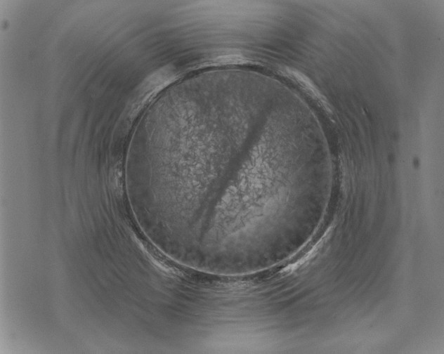 X0000072961225200608041144