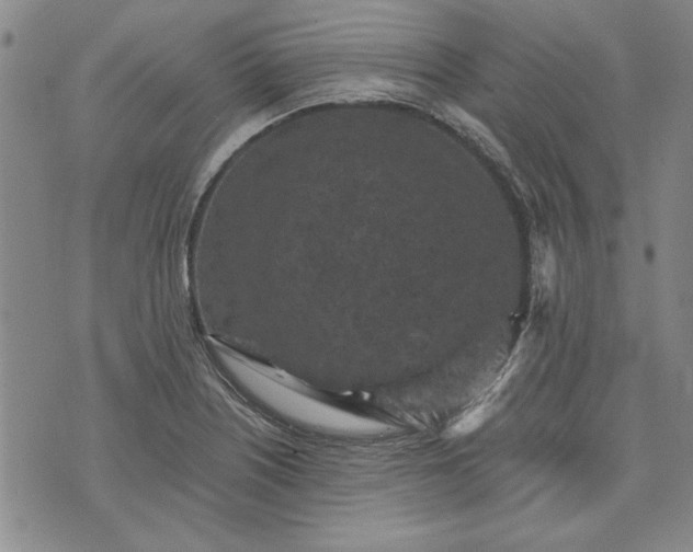 X0000072961226200608041144