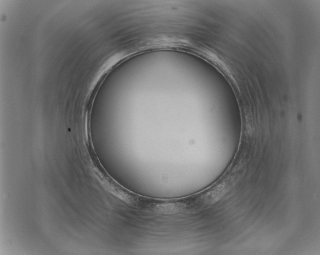 X0000072961227200608041144