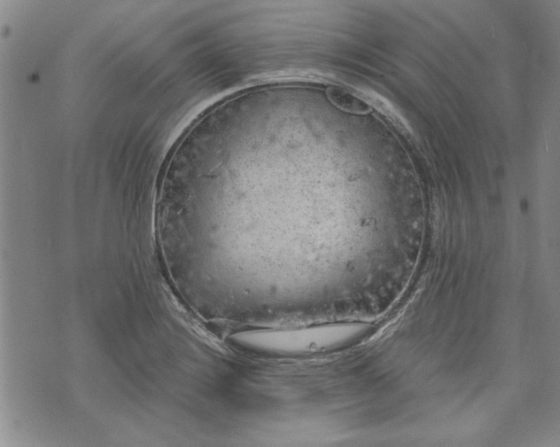 X0000072961228200608041144