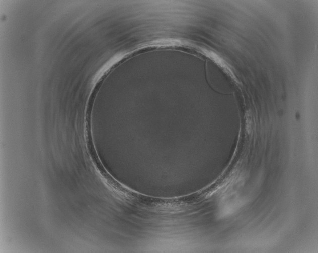 X0000072961229200608041144