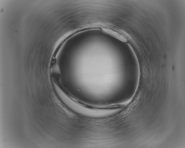 X0000072961230200608041144