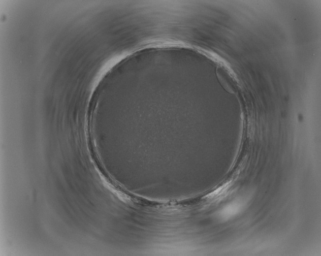 X0000072961231200608041144